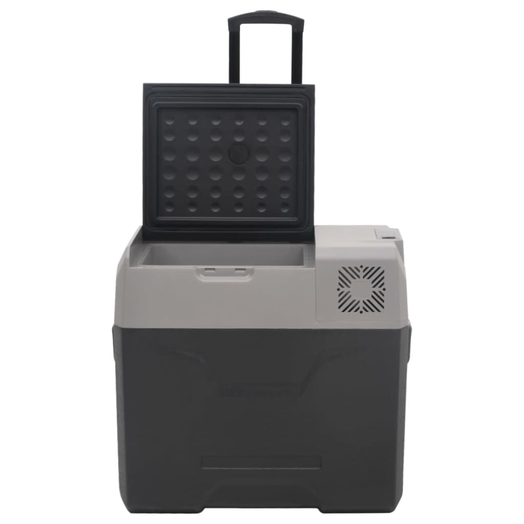 vidaXL Cool Box with Wheel and Handle Black&Grey 30 L Polypropylene